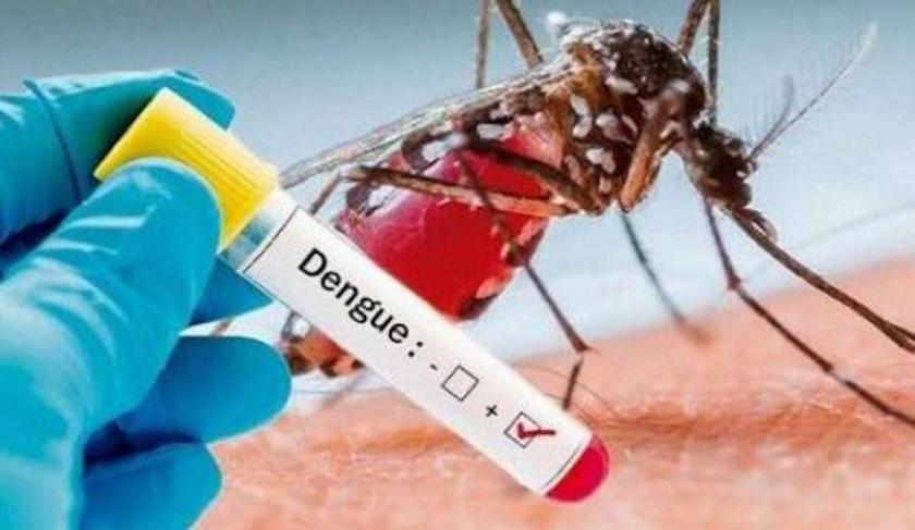 Virus Dengue nuovo caso ad Arezzo parte la disinfestazione dell